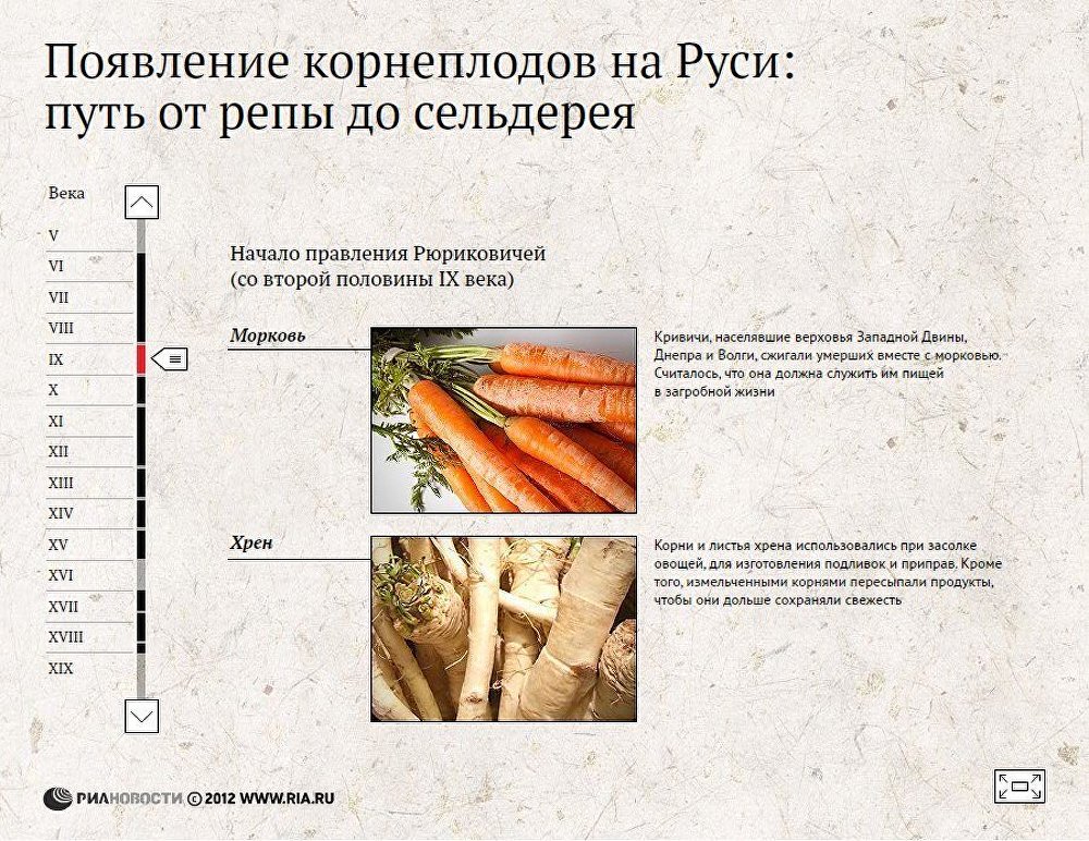 Появление корнеплодов на Руси: путь от репы до сельдерея Появление корнеплодов на Руси: путь от репы до сельдерея