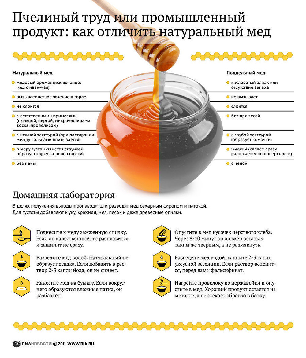Пчелиный труд или промышленный продукт: как отличить натуральный мед Пчелиный труд или промышленный продукт: как отличить натуральный мед