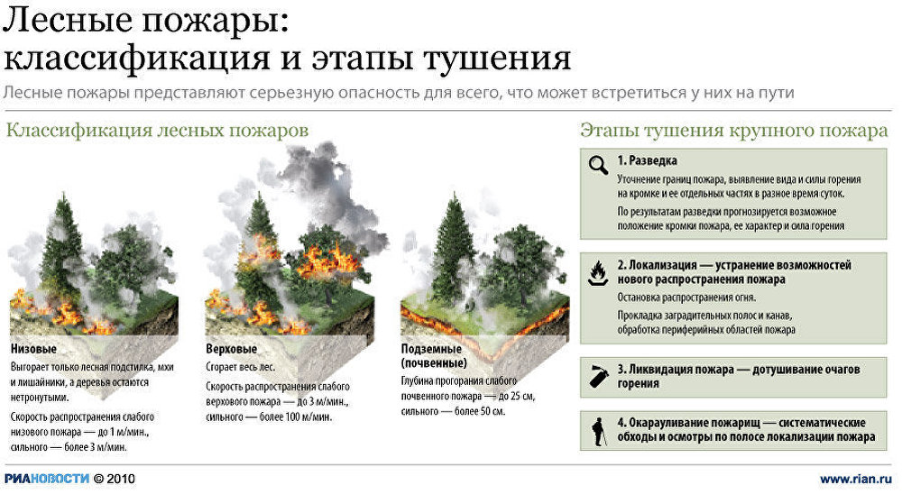 Лесные пожары: причины возникновения и методы предотвращения