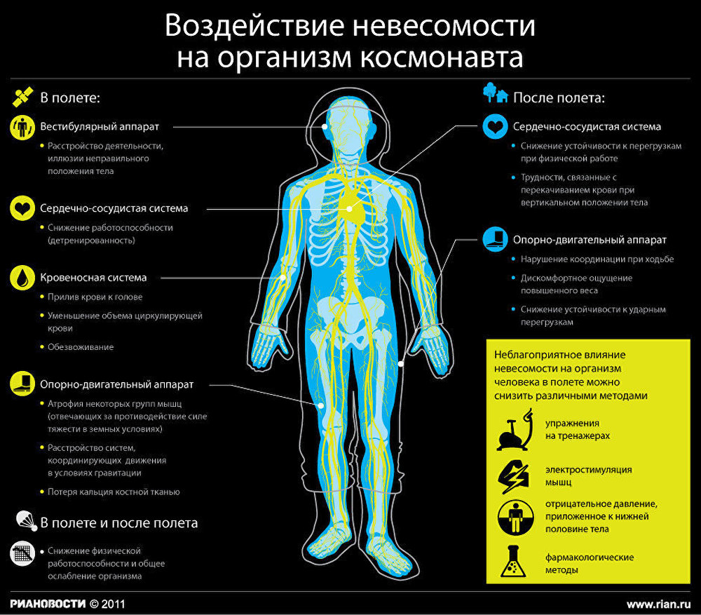 Воздействие невесомости на организм космонавта Воздействие невесомости на организм космонавта