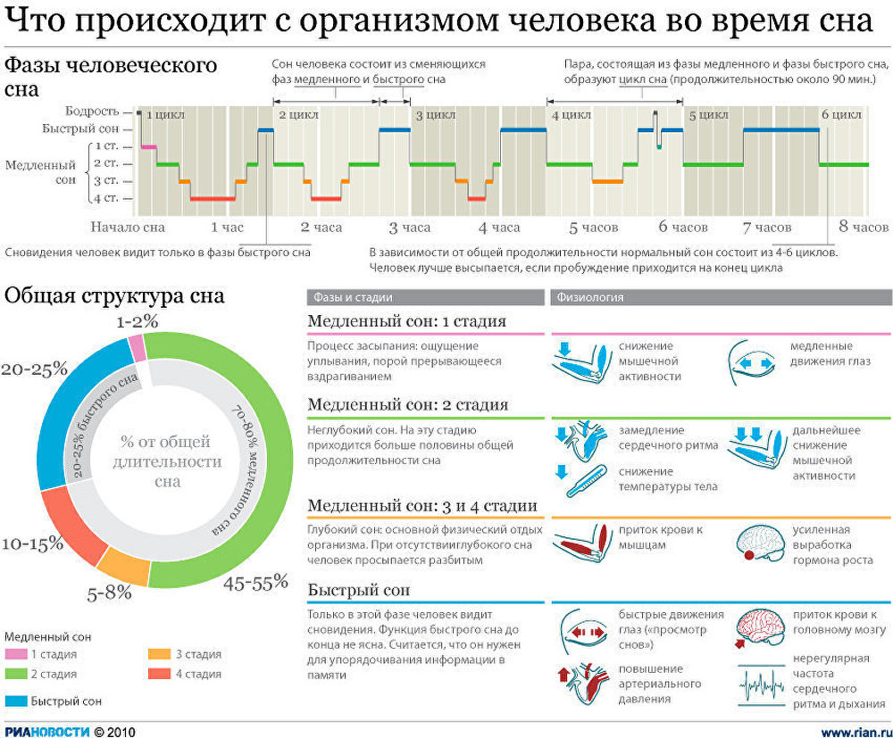 Что происходит с организмом человека во время сна Что происходит с организмом человека во время сна