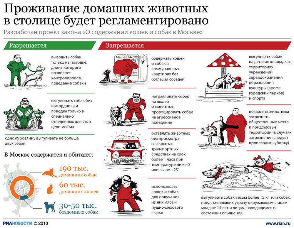 Проживание домашних животных в столице будет регламентировано
