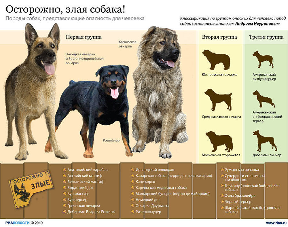 Осторожно! злая собака