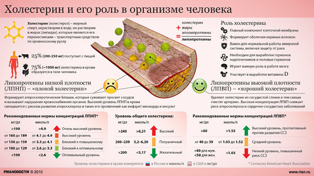 Холестерин и его роль в жизни человека