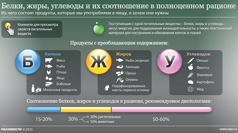 Белки, жиры, углеводы и их соотношение в полноценном рационе Белки, жиры, углеводы и их соотношение в полноценном рационе