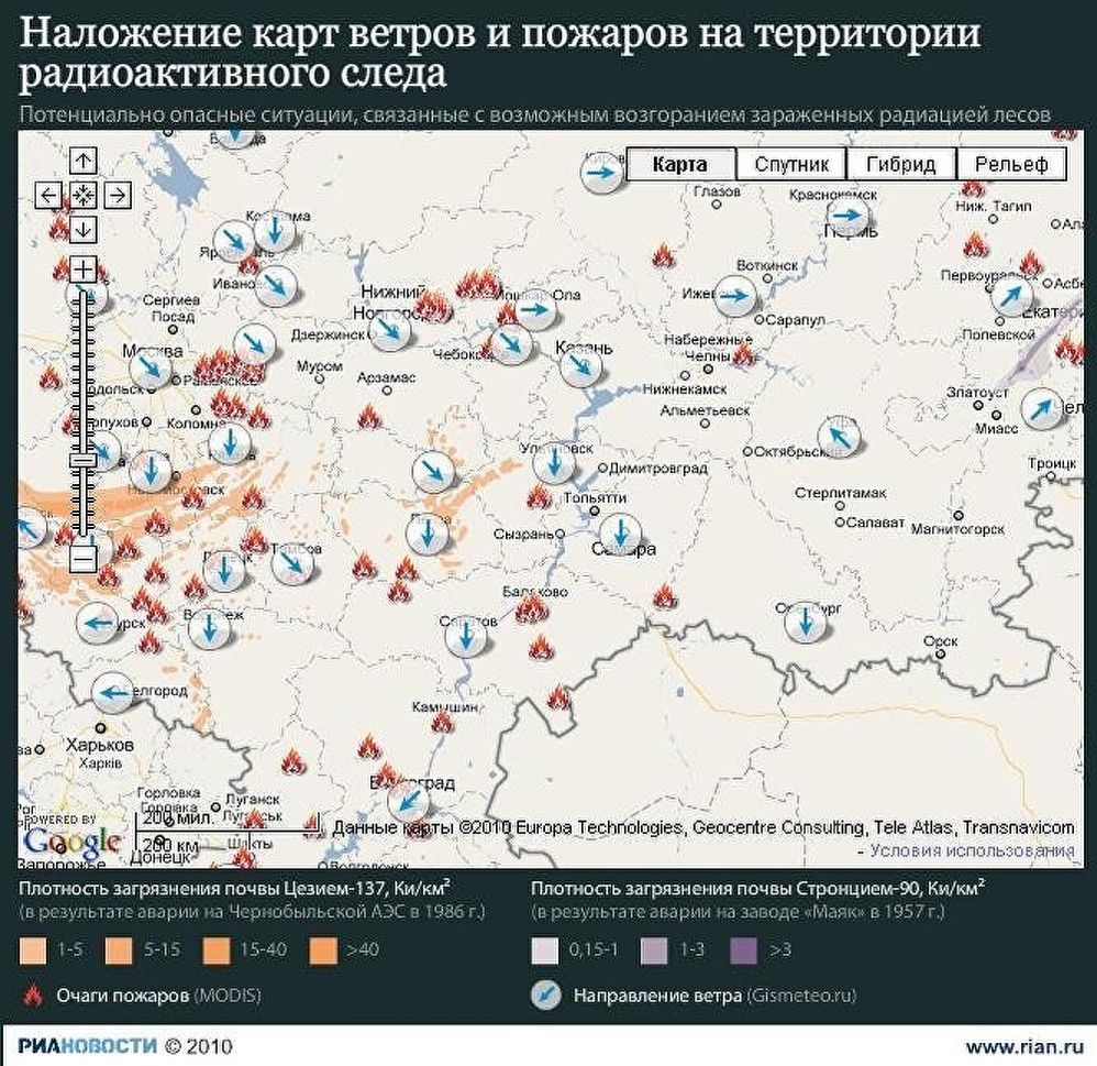 Леса и радиация. 13 августа