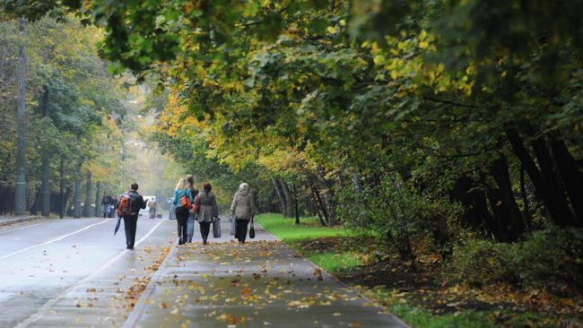 Парк Сокольники в Москве. Архивное фото
