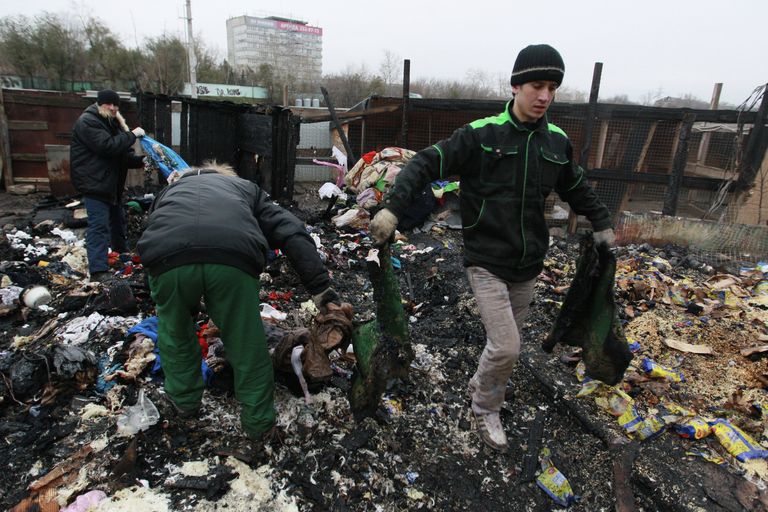 Последствия пожара в приюте для животных Альма Последствия пожара в приюте для животных Альма