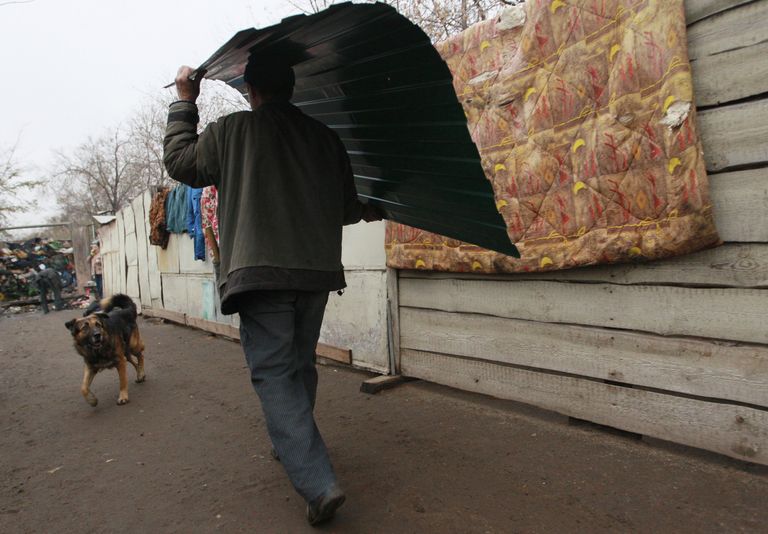 Последствия пожара в приюте для животных Альма Последствия пожара в приюте для животных Альма