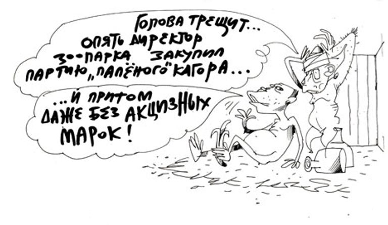 Юрий Богатенков, РИА Новости Юрий Богатенков, РИА Новости