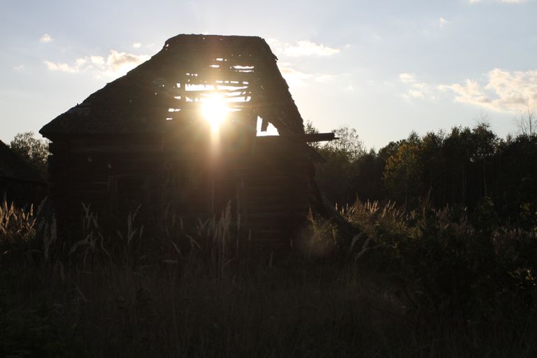 Дикий на закате       