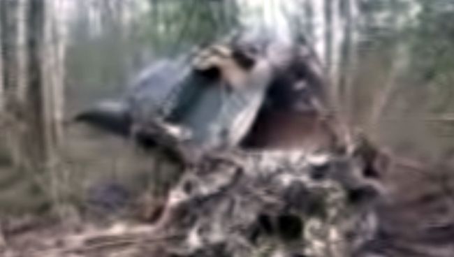 Обломки вертолета Ми-2 на месте жесткой посадки в Ивановской области Обломки вертолета Ми-2 на месте жесткой посадки в Ивановской области