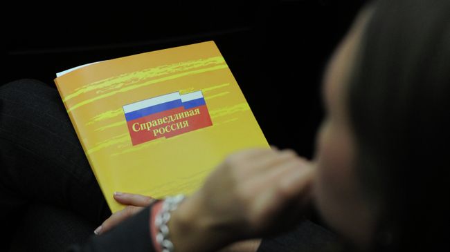 Член партии Справедливая Россия. Архивное фото Член партии Справедливая Россия. Архивное фото
