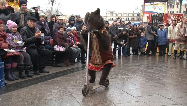 Медведь в нарядном платье катался на самокате на фестивале Русская зима
