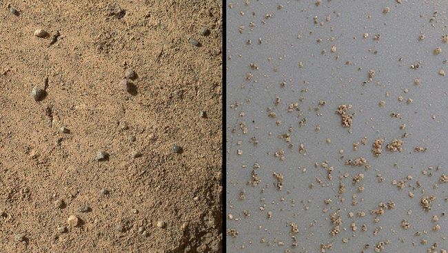 Марсианский песок под микроскопом, снимок прибора MAHLI, установленного на манипуляторе марсохода Curiosity Марсианский песок под микроскопом, снимок прибора MAHLI, установленного на манипуляторе марсохода Curiosity