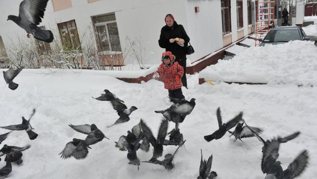 Зима. Архив
