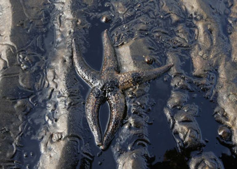 REUTERS/Jo Yong-Hak REUTERS/Jo Yong-Hak