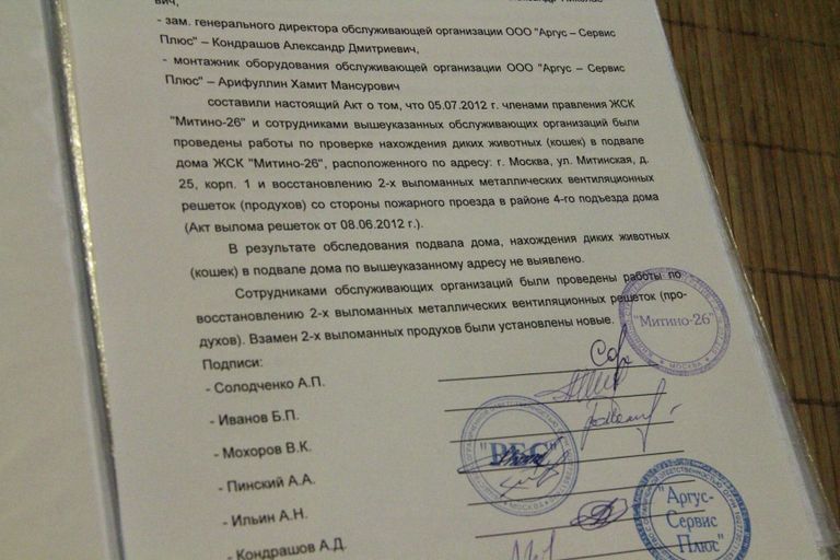 Перед каждым закрытием подвала составляется акт, что кошек в нем нет Перед каждым закрытием подвала составляется акт, что кошек в нем нет