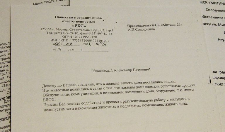 Обслуживающие организации отказываются работать в подвале из-за блох Обслуживающие организации отказываются работать в подвале из-за блох