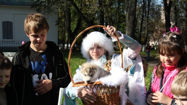 Костромская Снегурочка и щенок хаски. Архив Костромская Снегурочка и щенок хаски. Архив