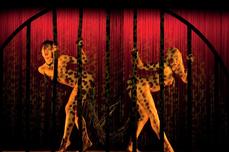 Французское кабаре Crazy Horse