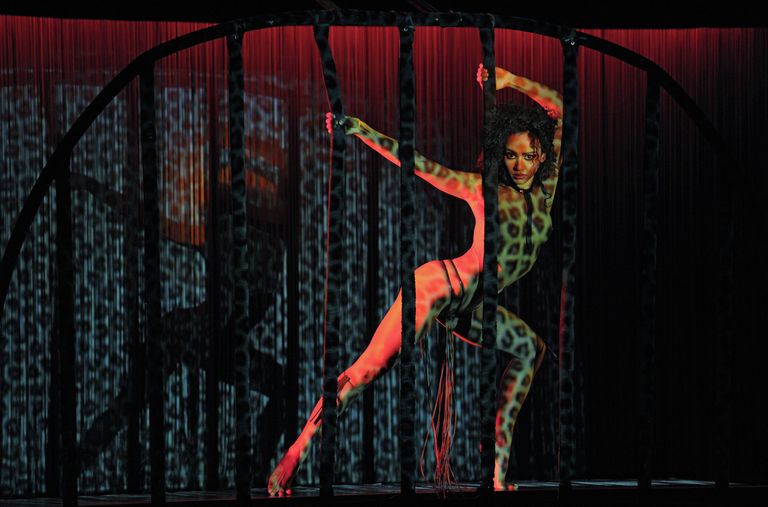 Репетиция парижского кабаре Crazy Horse Репетиция парижского кабаре Crazy Horse