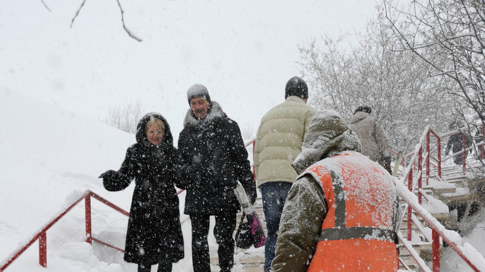 Снегопад Снегопад - РИА Новости, 1920, 13.12.2025