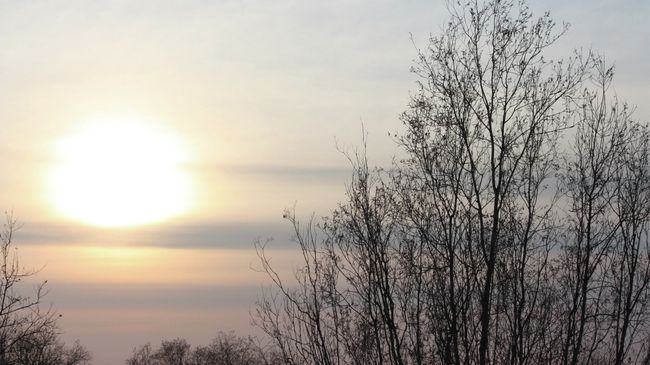 Весеннее солнце Весеннее солнце