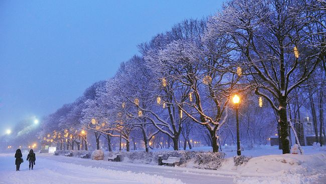 Прохожие в Центральном парке культуры и отдыха имени Горького