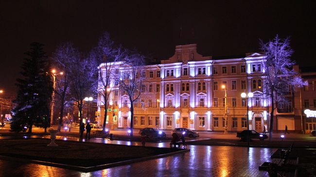 Мэрия Воронежа Мэрия Воронежа