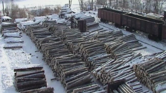 Рубка леса Рубка леса