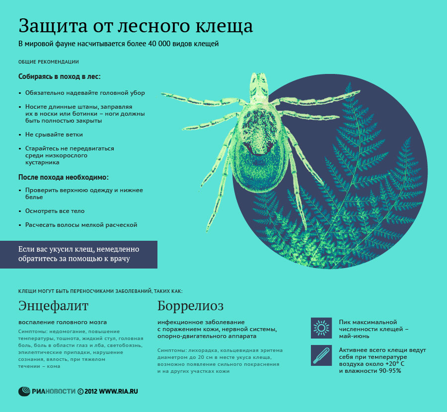Защита от лесного клеща Защита от лесного клеща