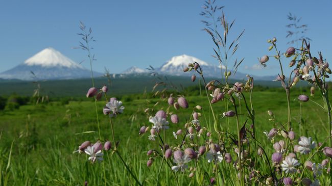 Камчатка. Архивное фото