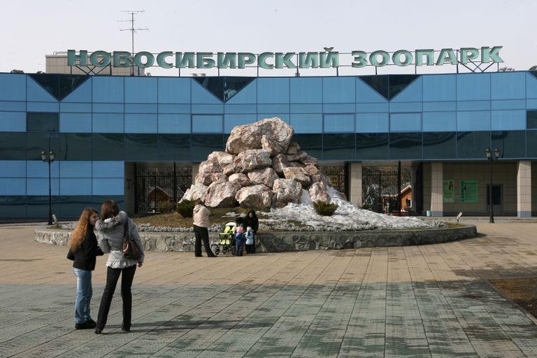 Новосибирский зоопарк Новосибирский зоопарк