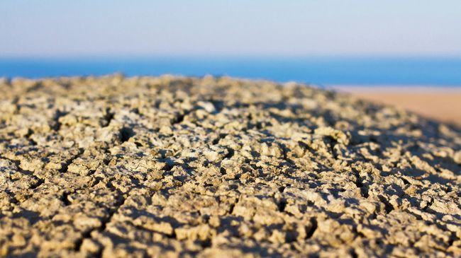 Что осталось от Аральского моря. Архивное фото.