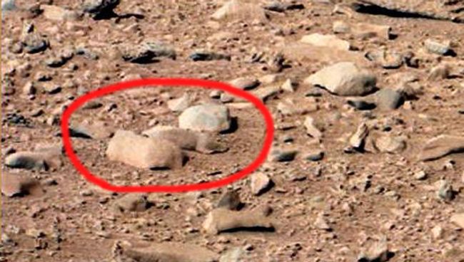 Марсоход Curiosity разглядел на Красной планете сурка Марсоход Curiosity разглядел на Красной планете сурка