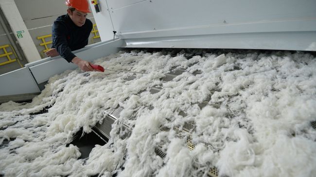 Производство льна Производство льна