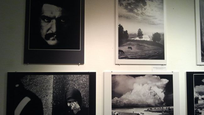Новосибирские фотографы показали работы, которыми прославились Новосибирские фотографы показали работы, которыми прославились