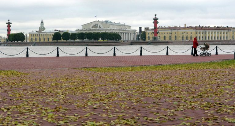 Вид на здание Биржи и Ростральные колонны на Стрелке Васильевского острова Вид на здание Биржи и Ростральные колонны на Стрелке Васильевского острова