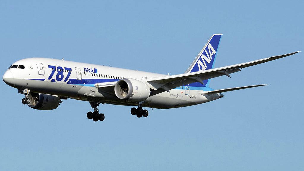 Boeing 787 Dreamliner Boeing 787 Dreamliner - РИА Новости, 1920, 27.06.2024