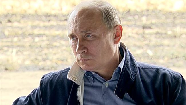 Путин попросил убрать камеры, чтобы поесть борща с кубанскими комбайнерами Путин попросил убрать камеры, чтобы поесть борща с кубанскими комбайнерами