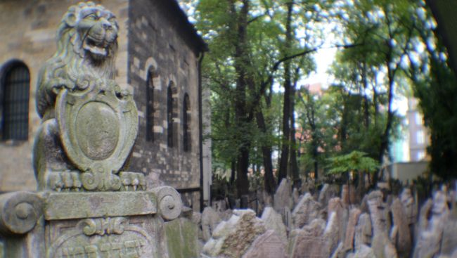Кладбище. Архивное фото Кладбище. Архивное фото