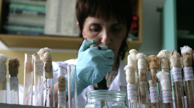 Лаборант во время работы в вирусологической лаборатории Управления Роспотребнадзора. Архивное фото
