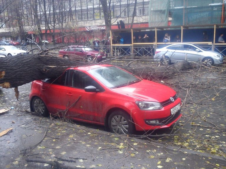 Последствия шторма Святой Иуда в Петербурге Последствия шторма Святой Иуда в Петербурге