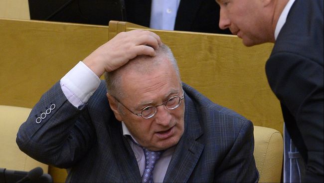 Руководитель фракции ЛДПР Владимир Жириновский