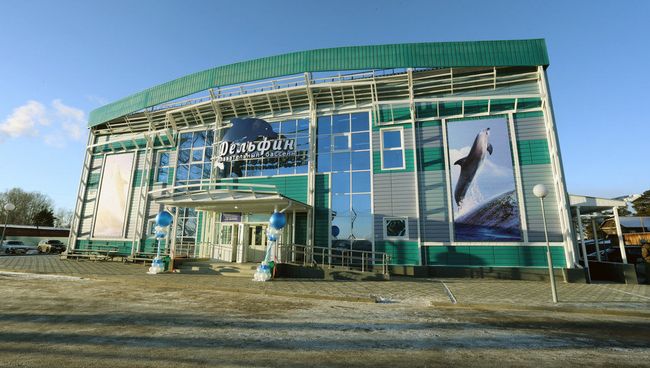 Бассейн Дельфин