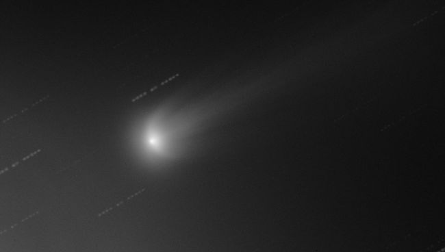 Комета ISON с крыльями, отходящими от ее ядра