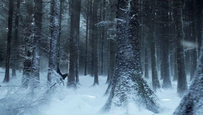 Кадр из телесериала Игры престолов Кадр из телесериала Игры престолов