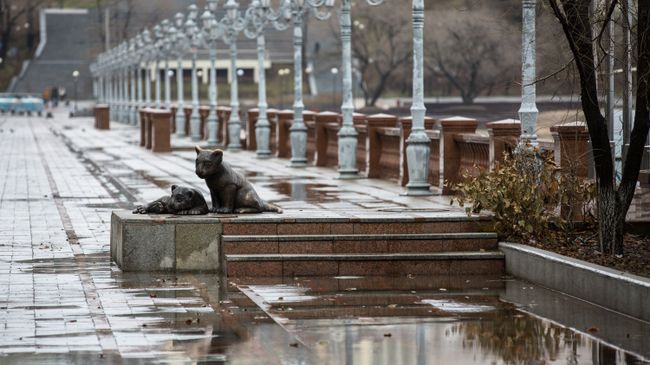 Ливень во Владивостоке