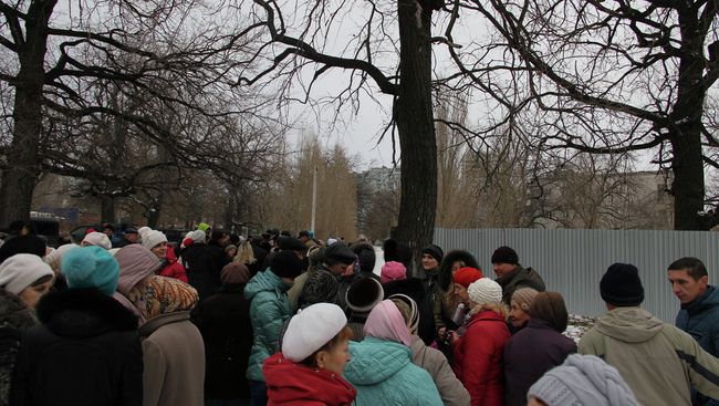 Около 100 человек собрались, чтобы защитить дубовую рощу в Самаре Около 100 человек собрались, чтобы защитить дубовую рощу в Самаре